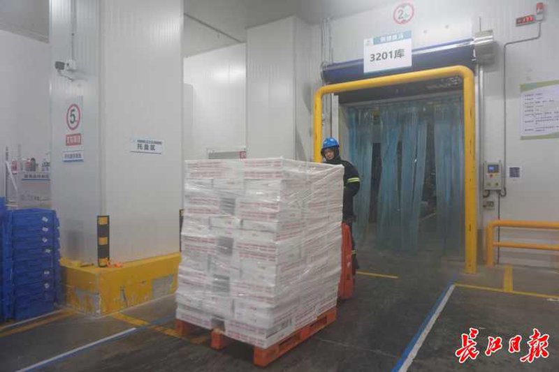 海口商贸公司市场动态分析